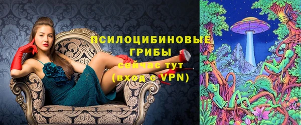 стаф Алзамай